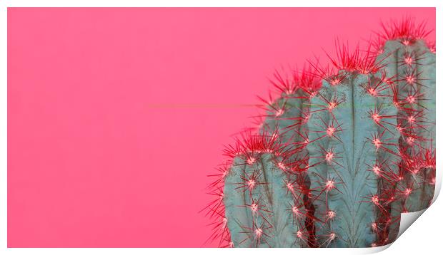 Fashion style cactus poster art. Print by Andrea Obzerova