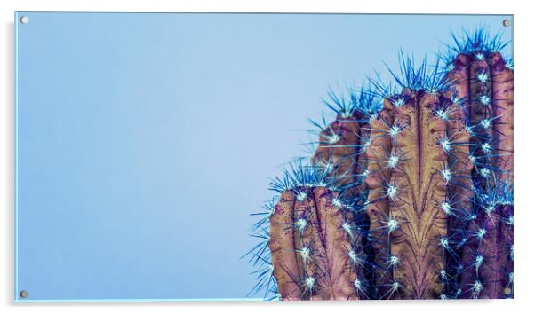 Fashion style cactus poster art. Acrylic by Andrea Obzerova