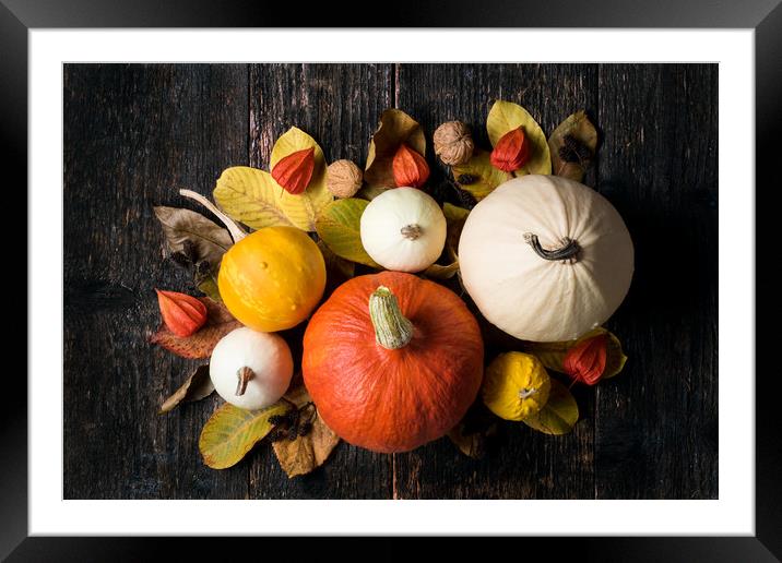 Autumn Harvest and Holiday still life. Framed Mounted Print by Andrea Obzerova