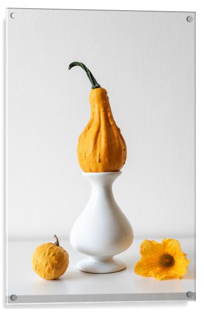Pumpkin on white shelf against white wall. Acrylic by Andrea Obzerova