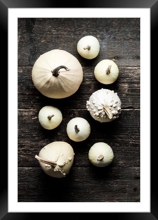Various decorative white pumpkins on dark wooden background. Framed Mounted Print by Andrea Obzerova