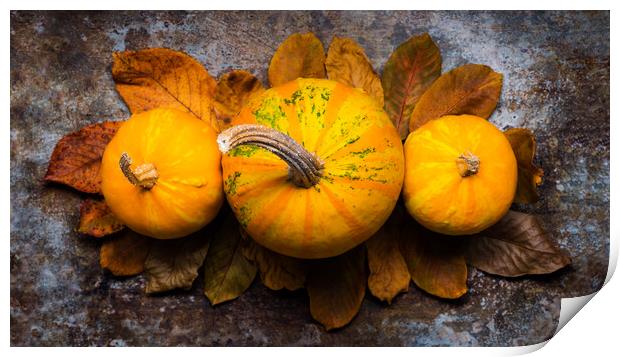 Pumpkins and fallen leaves on dark retro background. Print by Andrea Obzerova