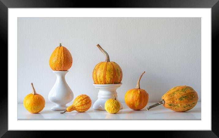 Autumn inspired room decoration.  Framed Mounted Print by Andrea Obzerova