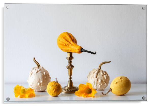 Various pumpkins on white shelf against white wall. Acrylic by Andrea Obzerova