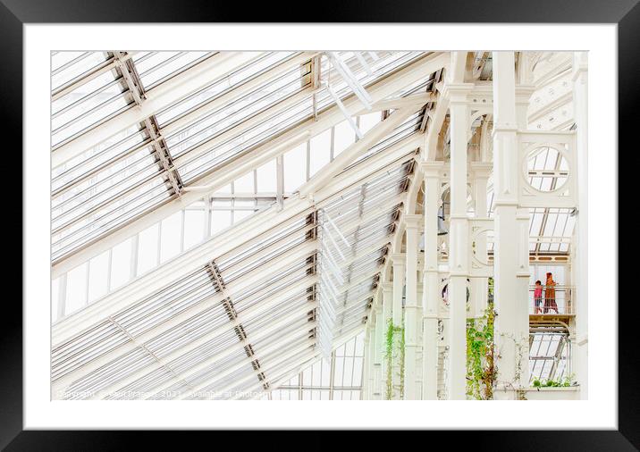 Structure of Kew's Temperate Greenhouse Framed Mounted Print by Paul Praeger