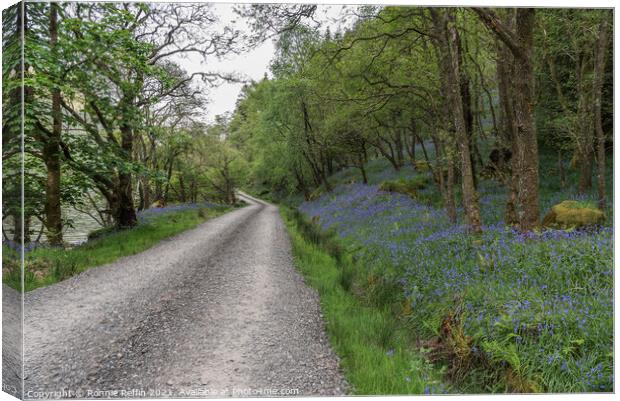 Walk By The Bluebells Canvas Print by Ronnie Reffin