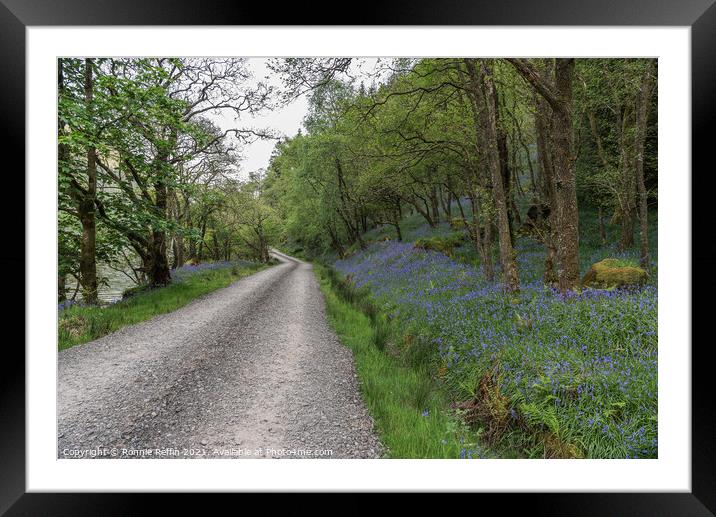 Walk By The Bluebells Framed Mounted Print by Ronnie Reffin