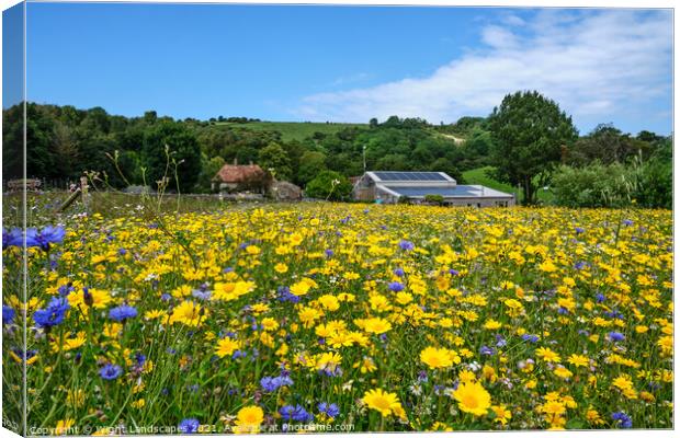 Wildflower Meadow Canvas Print by Wight Landscapes
