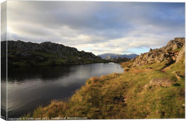 Lake District UK , un-named tarn on Haystacks summ Canvas Print by Linda Lyon