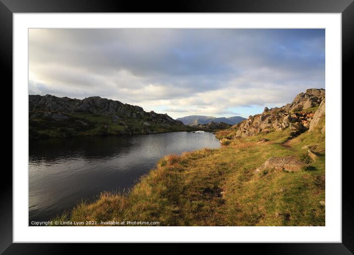 Lake District UK , un-named tarn on Haystacks summ Framed Mounted Print by Linda Lyon