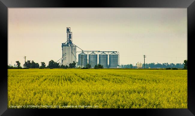The Paterson Grain Terminal, Rosser, MB Framed Print by STEPHEN THOMAS