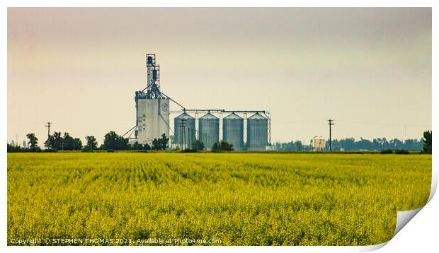 The Paterson Grain Terminal, Rosser, MB Print by STEPHEN THOMAS