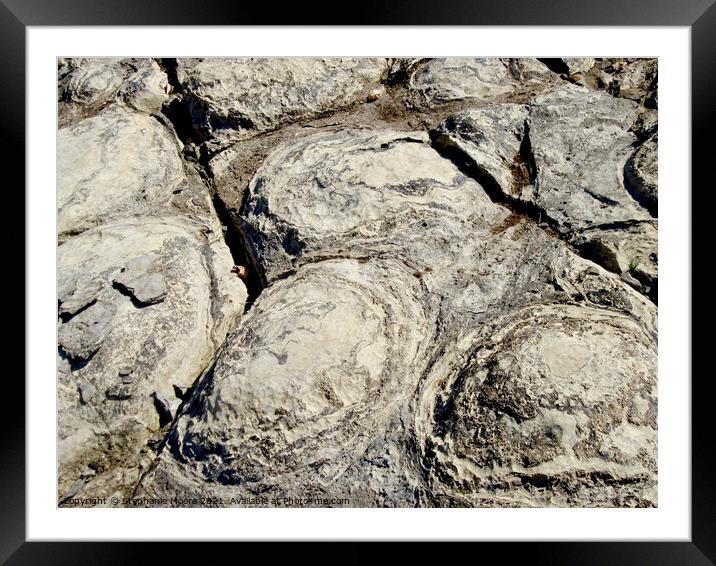 Stromatolites in the Ottawa River Framed Mounted Print by Stephanie Moore