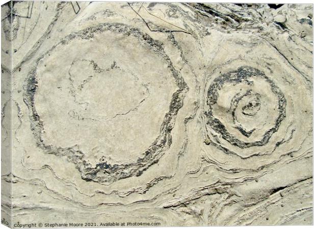 Ancient Stromatolites Canvas Print by Stephanie Moore