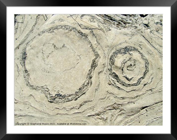 Ancient Stromatolites Framed Mounted Print by Stephanie Moore