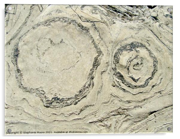 Ancient Stromatolites Acrylic by Stephanie Moore