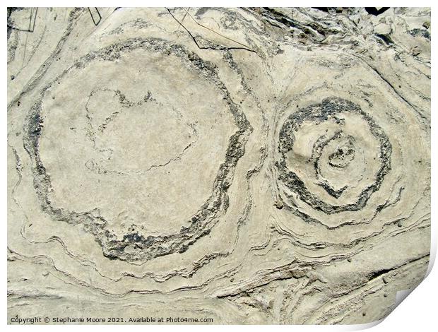 Ancient Stromatolites Print by Stephanie Moore