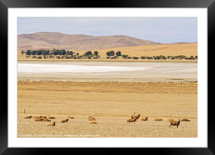 Dry salt lake - South Australia Framed Mounted Print by Laszlo Konya