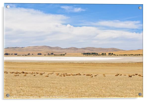 Dry salt lake - South Australia Acrylic by Laszlo Konya