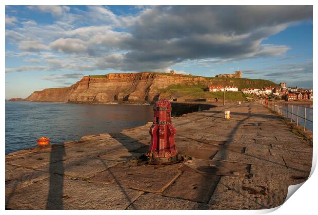 Whitby Piers Print by Andrew Sharpe