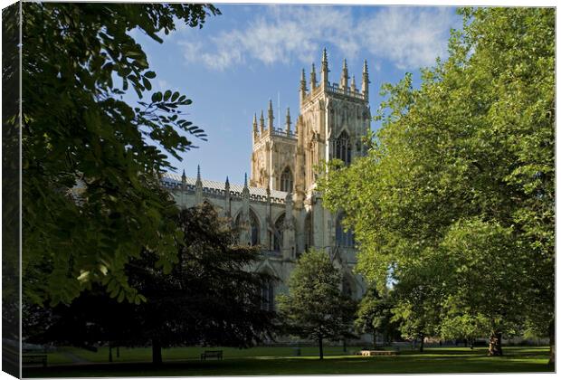 York Minster from Dean's Park Canvas Print by Andrew Sharpe