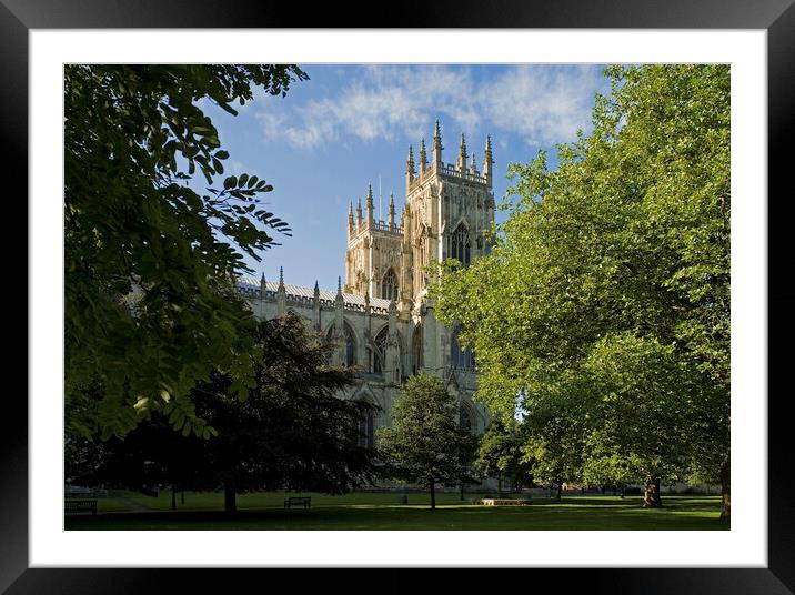 York Minster from Dean's Park Framed Mounted Print by Andrew Sharpe