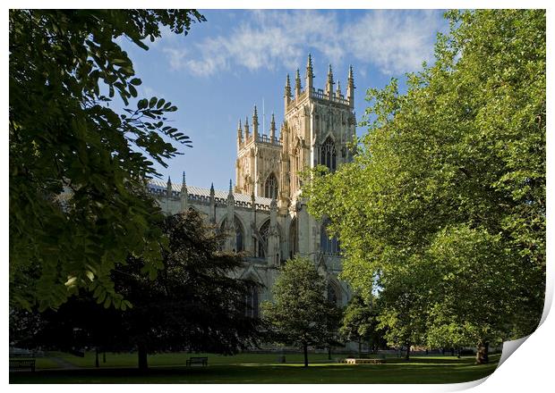 York Minster from Dean's Park Print by Andrew Sharpe