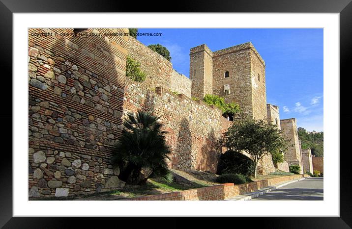 malaga castle Framed Mounted Print by dale rys (LP)