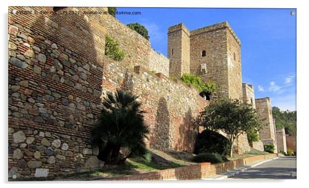 malaga castle Acrylic by dale rys (LP)