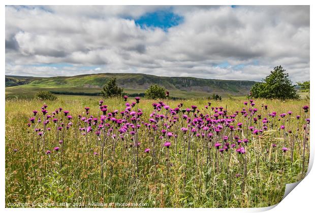 Melancronkley Jul 2021 Print by Richard Laidler