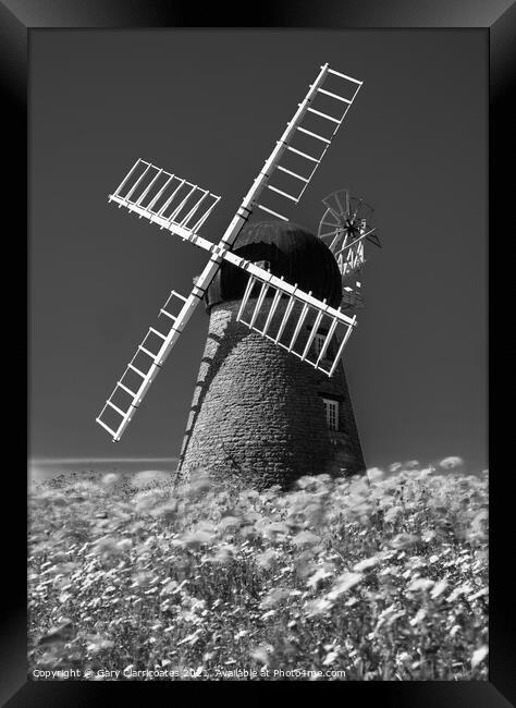 Whitburn Windmill in a field of Poppies Framed Print by Gary Clarricoates