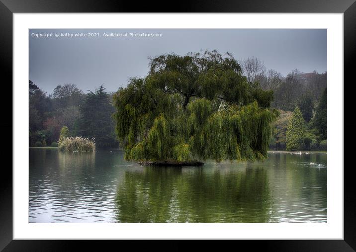 Weeping willow on a lake Framed Mounted Print by kathy white