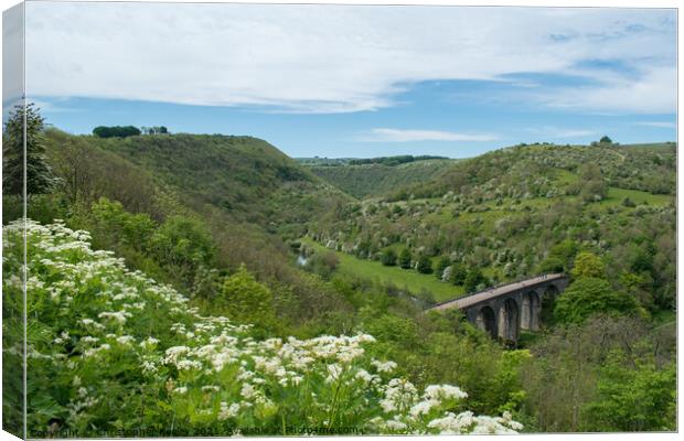 Flowers and sun at Monsal Dale in Derbyshire Canvas Print by Christopher Keeley