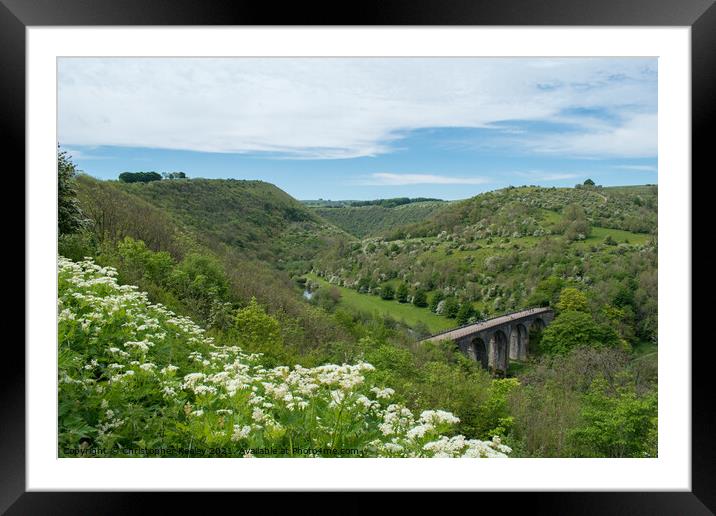 Flowers and sun at Monsal Dale in Derbyshire Framed Mounted Print by Christopher Keeley