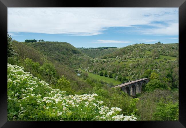 Flowers and sun at Monsal Dale in Derbyshire Framed Print by Christopher Keeley