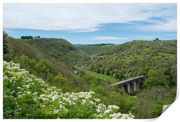 Flowers and sun at Monsal Dale in Derbyshire Print by Christopher Keeley