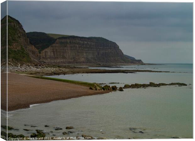 Hastings Cliffs at Low Tide Canvas Print by Mark Ward