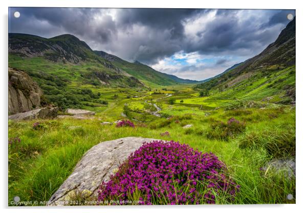Nant Ffrancon Valley Snowdonia Wales Acrylic by Adrian Evans