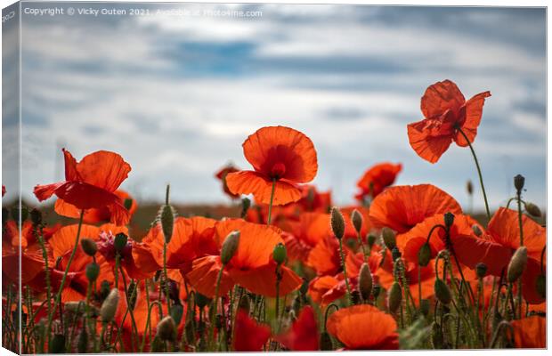 Field of poppies Canvas Print by Vicky Outen