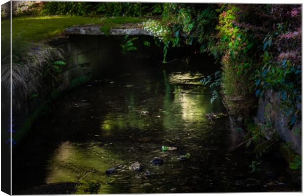 Quiet streams   Canvas Print by Steve Taylor