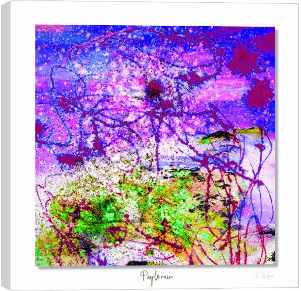 Purple rain Canvas Print by JC studios LRPS ARPS