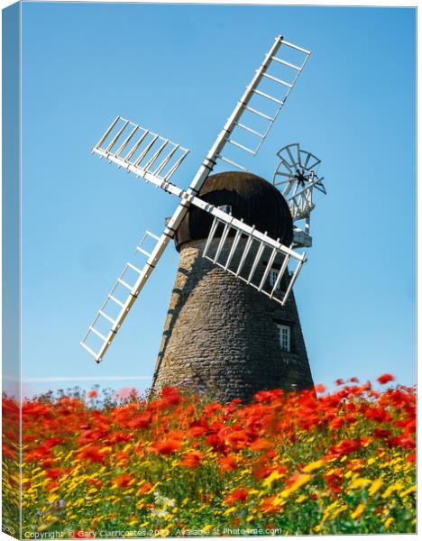The Flowering Windmill Canvas Print by Gary Clarricoates