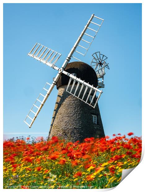 The Flowering Windmill Print by Gary Clarricoates