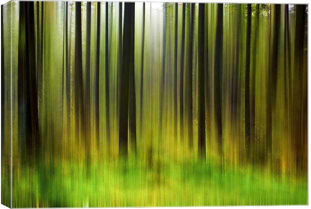Abstract Trees Canvas Print by Trevor Kersley RIP