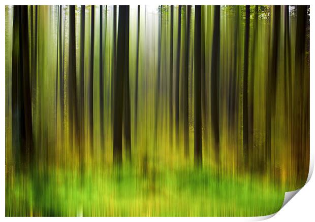 Abstract Trees Print by Trevor Kersley RIP