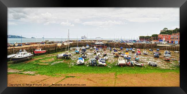 Paignton Harbour Low Tide  Framed Print by Peter F Hunt
