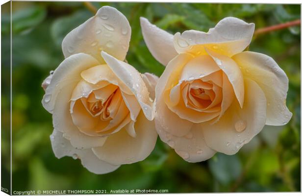Twin Yellow Roses Canvas Print by MICHELLE THOMPSON
