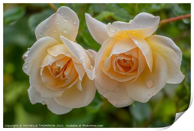 Twin Yellow Roses Print by MICHELLE THOMPSON