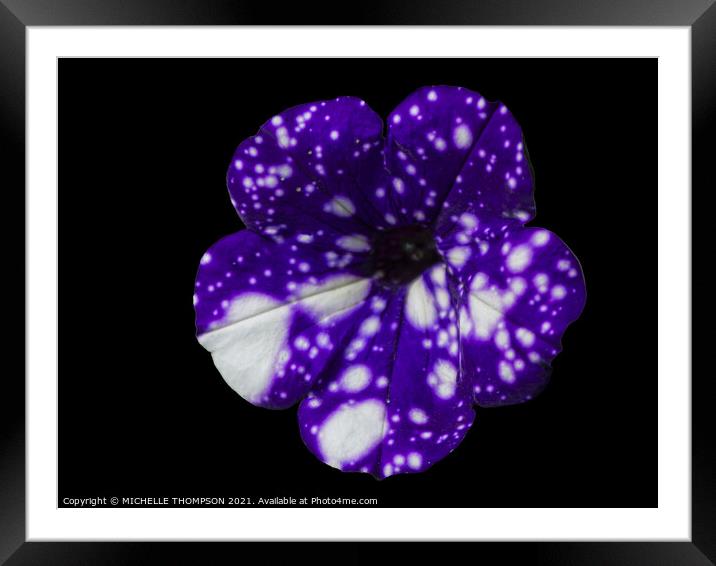 Petunia Night Sky Framed Mounted Print by MICHELLE THOMPSON
