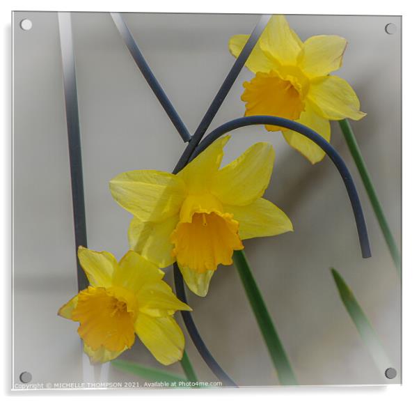 Three daffodils  Acrylic by MICHELLE THOMPSON